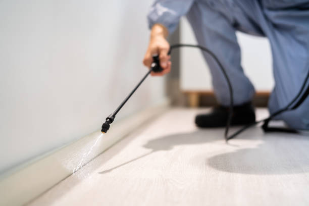 Professional exterminator conducting IPM assessment in River Rouge